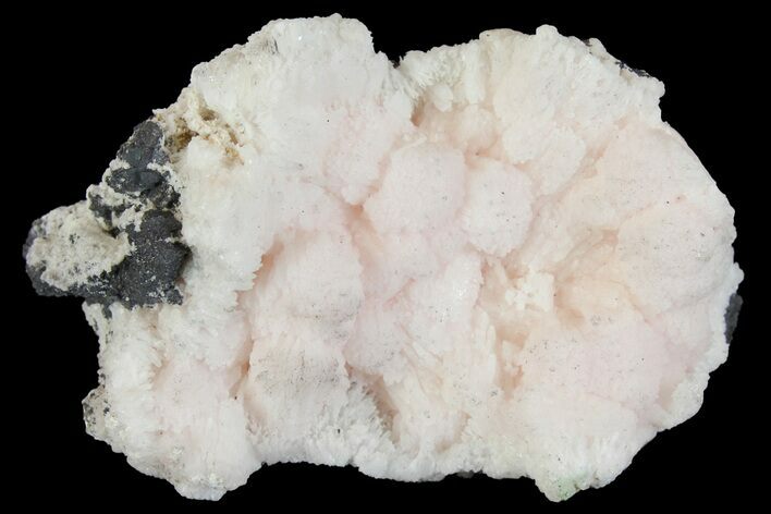 Manganoan Calcite and Kutnohorite Association - Fluorescent! #169790